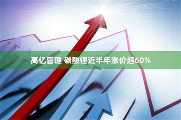 高亿管理 碳酸锂近半年涨价超60%
