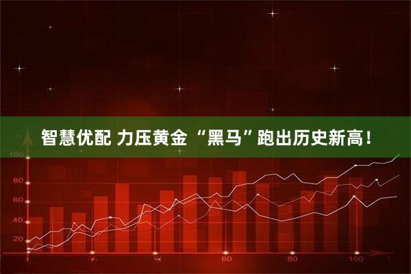 智慧优配 力压黄金 “黑马”跑出历史新高！