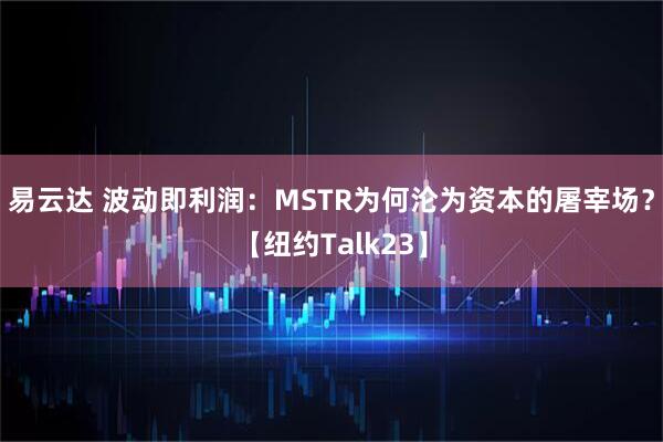 易云达 波动即利润：MSTR为何沦为资本的屠宰场？【纽约Talk23】