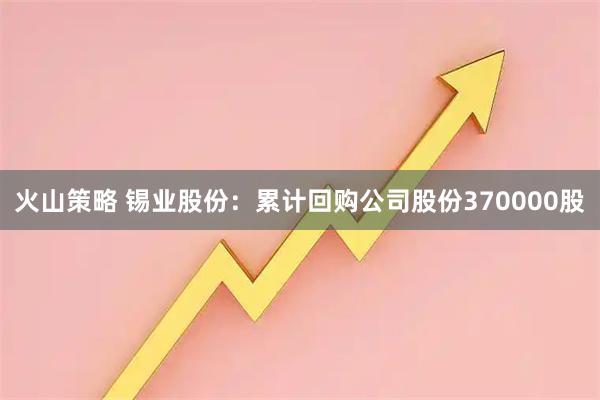 火山策略 锡业股份：累计回购公司股份370000股