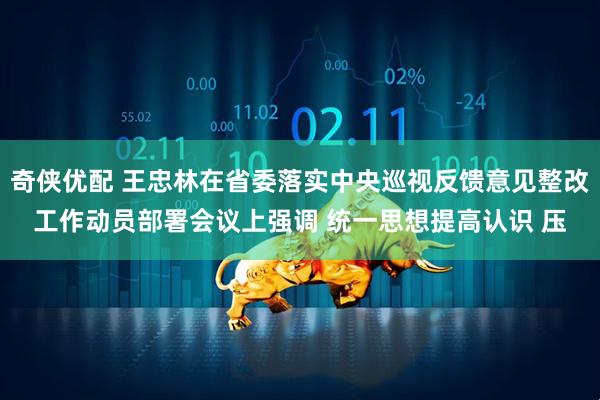 奇侠优配 王忠林在省委落实中央巡视反馈意见整改工作动员部署会议上强调 统一思想提高认识 压